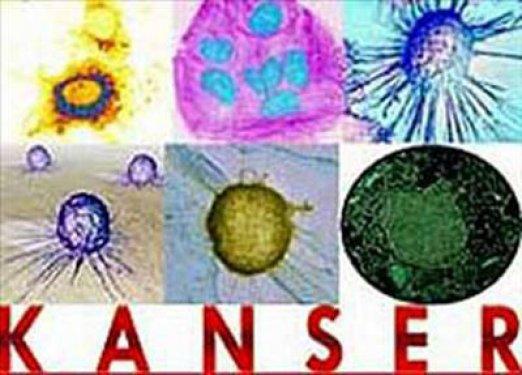 Arı sokması nelere şifa oluyor ?