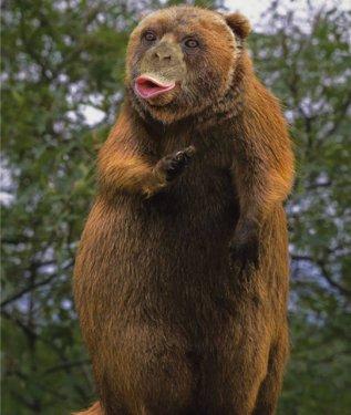 Sıradışı Hayvanlar