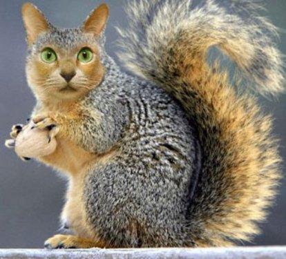 Sıradışı Hayvanlar