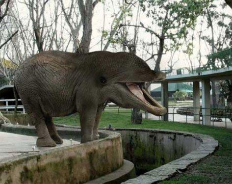 Sıradışı Hayvanlar