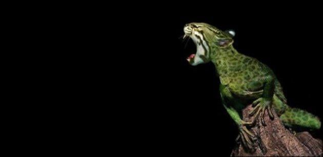 Sıradışı Hayvanlar