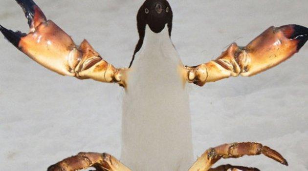 Sıradışı Hayvanlar