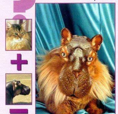 Sıradışı Hayvanlar