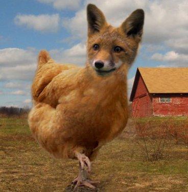 Sıradışı Hayvanlar