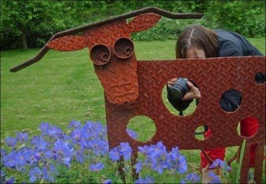 Çılgın fotoğrafçılar