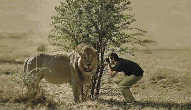 Çılgın fotoğrafçılar