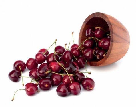 101 Soruda Organik Ürün Rehberi