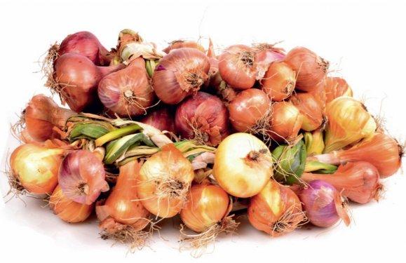 101 Soruda Organik Ürün Rehberi