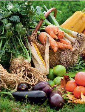 101 Soruda Organik Ürün Rehberi