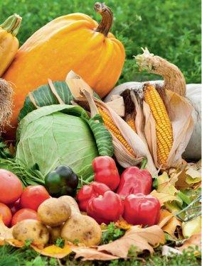 101 Soruda Organik Ürün Rehberi