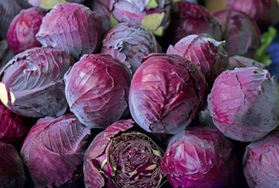 101 Soruda Organik Ürün Rehberi