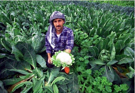 101 Soruda Organik Ürün Rehberi