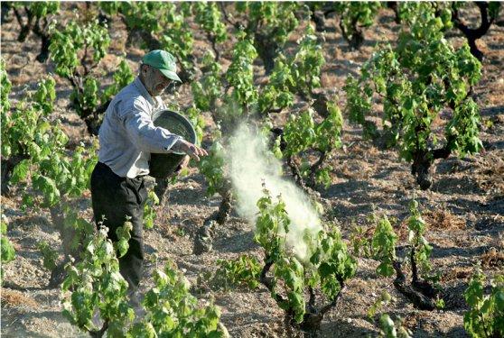 101 Soruda Organik Ürün Rehberi