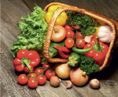 101 Soruda Organik Ürün Rehberi