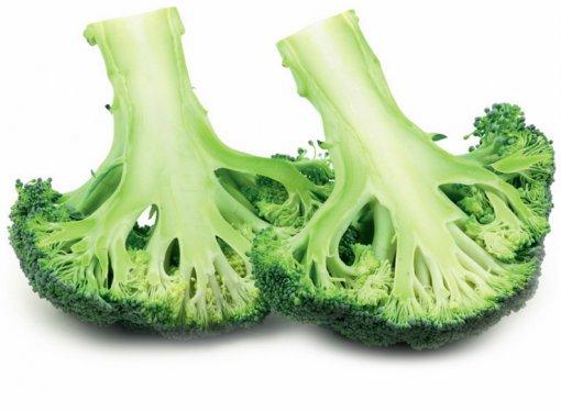 101 Soruda Organik Ürün Rehberi