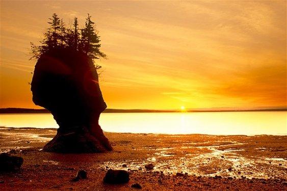 Dünyanın en güzel plajları