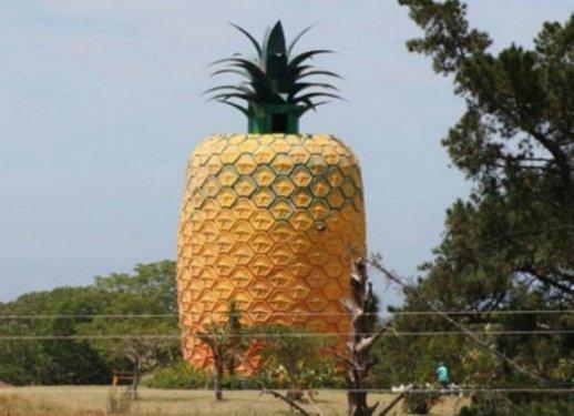 Görenleri şaşkına çeviriyor