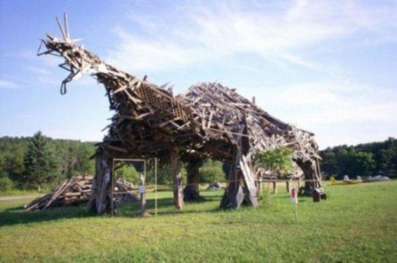 Görenleri şaşkına çeviriyor