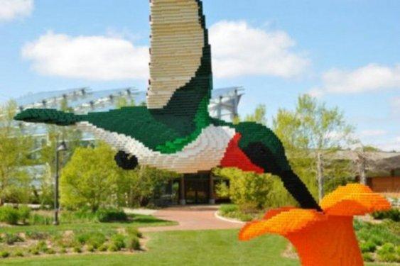 Görenleri şaşkına çeviriyor