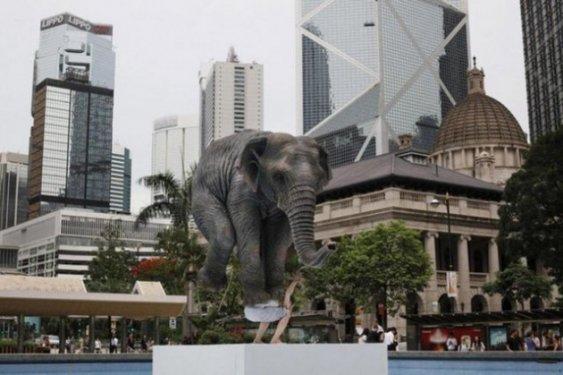 Görenleri şaşkına çeviriyor