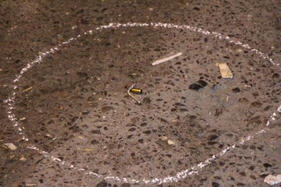 Başbakan'ı bekleyen polislere ateş edildi