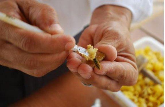 Arı sütünün muhteşem faydaları