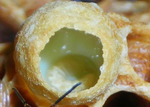 Arı sütünün muhteşem faydaları