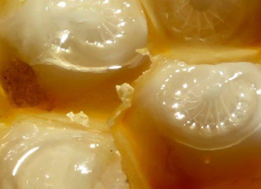 Arı sütünün muhteşem faydaları