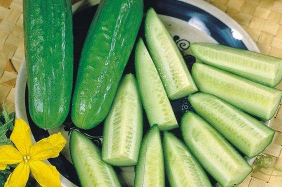 Salatalık yemeniz için 13 sebep