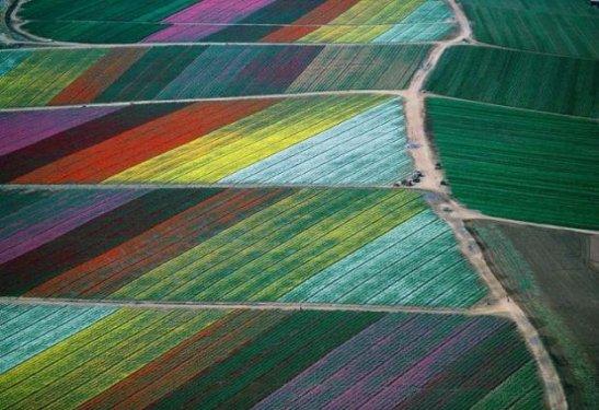 Tabiatın  sihirli yüzü