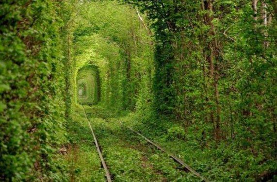 Tabiatın  sihirli yüzü