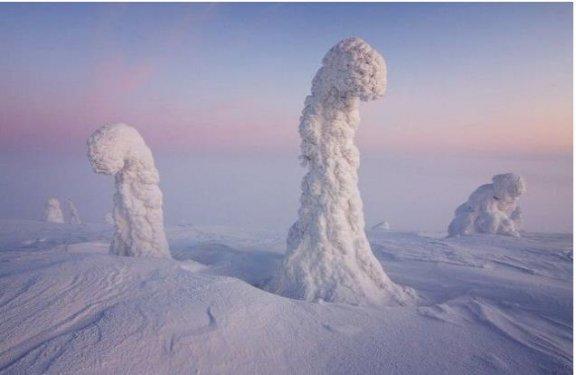 Tabiatın  sihirli yüzü