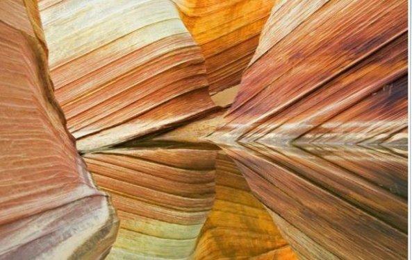 Tabiatın  sihirli yüzü