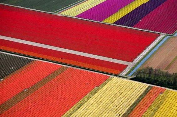 Tabiatın  sihirli yüzü