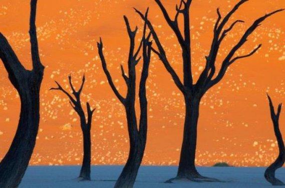 Tabiatın  sihirli yüzü