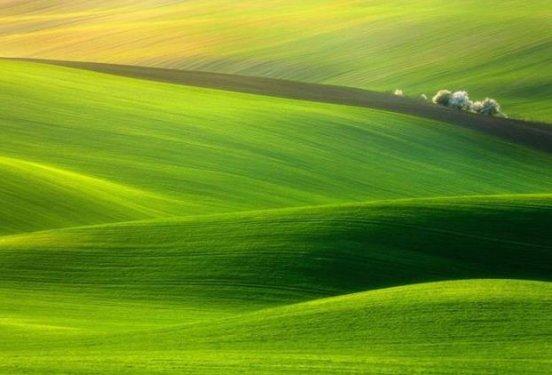 Tabiatın  sihirli yüzü