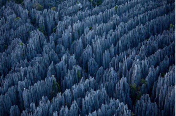 Tabiatın  sihirli yüzü