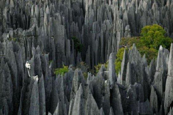 Tabiatın  sihirli yüzü