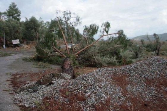 Muğla'yı hortum vurdu