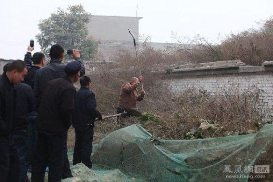 Çin'de bir köpeği vahşi şekilde öldürdüler