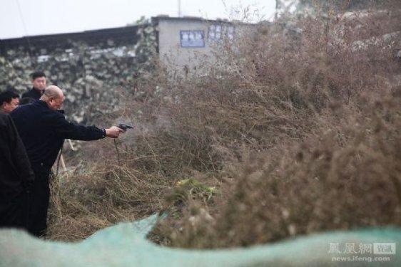 Çin'de bir köpeği vahşi şekilde öldürdüler