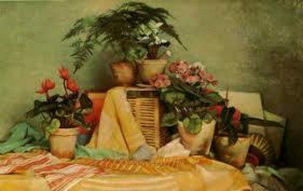 Türk iş dünyasının ilk 50 koleksiyoneri