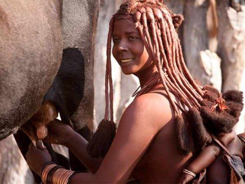 Kırmızı kadınlar kabilesi; Himbalar