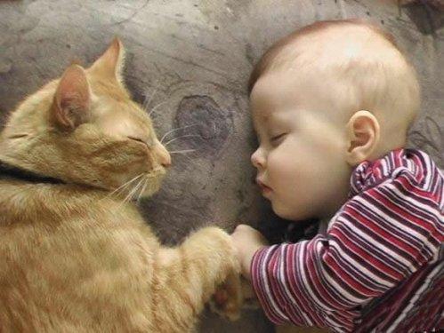 Sosyal Medya'da paylaşılan en komik bebek resimleri