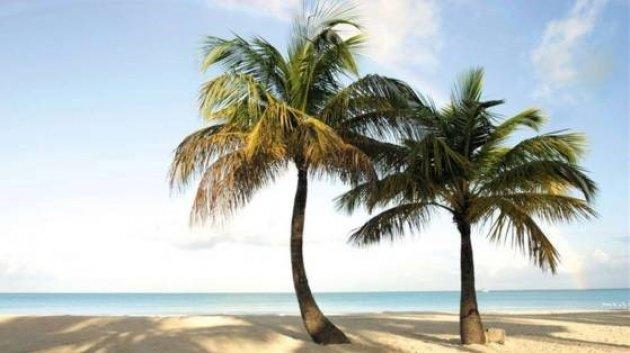 Parayla vatandaşlık veren 11 ülke