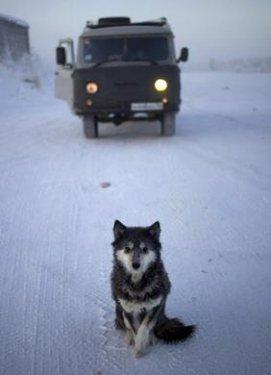 Dünyanın en soğuk köyü Oymyakon 