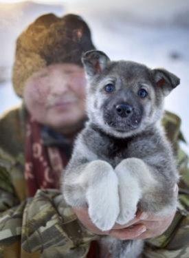 Dünyanın en soğuk köyü Oymyakon 