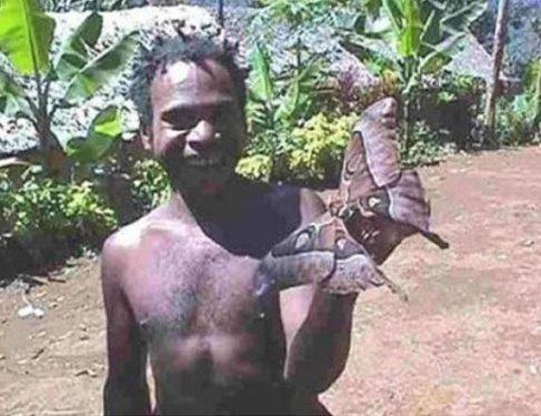 Dünyanın en büyük böceğinde şaşkına çeviren özellik