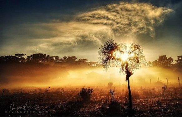 Dünyanın dört bir yanından güzel kareler 