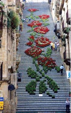 Dünyanın dört bir yanından güzel kareler 